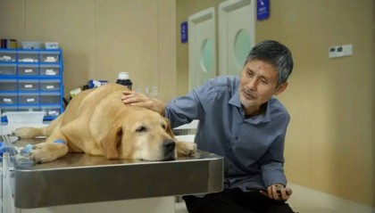 3000万只宠物的养老，难倒了年轻人