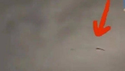 雷雨夜出现“飞龙”？真相来了