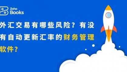 外汇风险管理:自动更新汇率的财务管理软件推荐