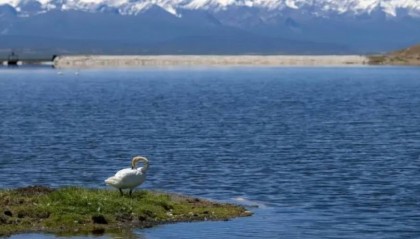 NCE外汇低手续费账户开通全指南.