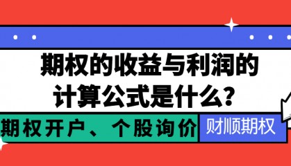 你知道期权的收益与利润的计算公式是什么吗?