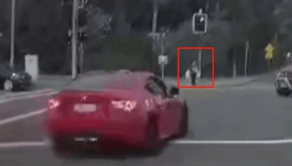 澳大利亚华人妇女和孙女等红绿灯时被撞！肇事者为18岁男子