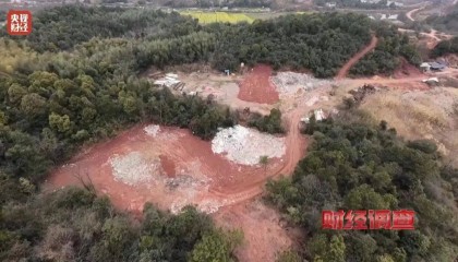 问题被曝光后，夜里11点常务副市长率队到现场，市长牵头专项整治，市纪委启动问责