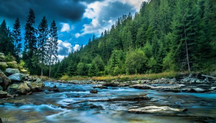 NCE外汇的期货开户手续费如何?