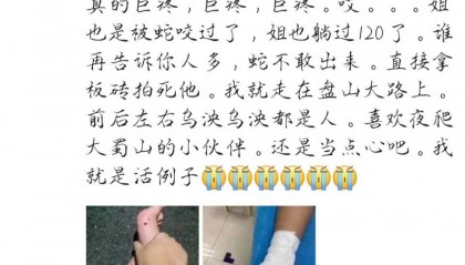 合肥一市民夜爬大蜀山被毒蛇咬伤 公园管理处呼吁：尽量避免夜间登山