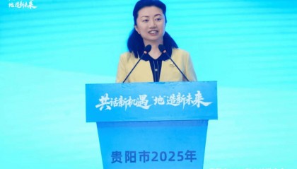 贵州省贵阳市副市长高杨，主动投案！