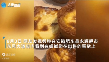 合肥一超市蛋挞上爬蟑螂，市监局：涉事店铺已消杀，责令改正