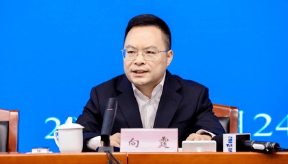 中央巡视期间，向霆被查