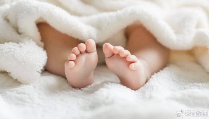 2024年我国人口总量比上年减少139万人，出生人口为954万人较上年增加