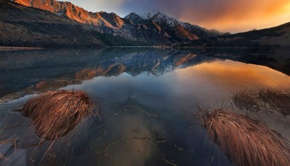 如何在NCE外汇开通低手续费账户?