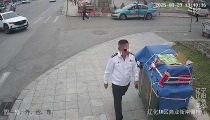 张某冒充“厅领导”，到派出所“指导工作”“发号施令”，被当场控制