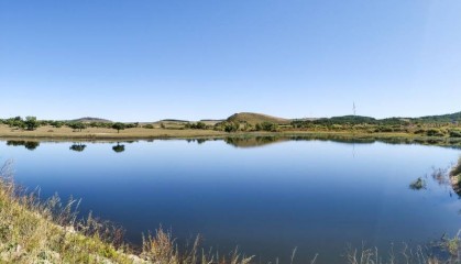 NCE外汇是否已经进入数字货币市场?