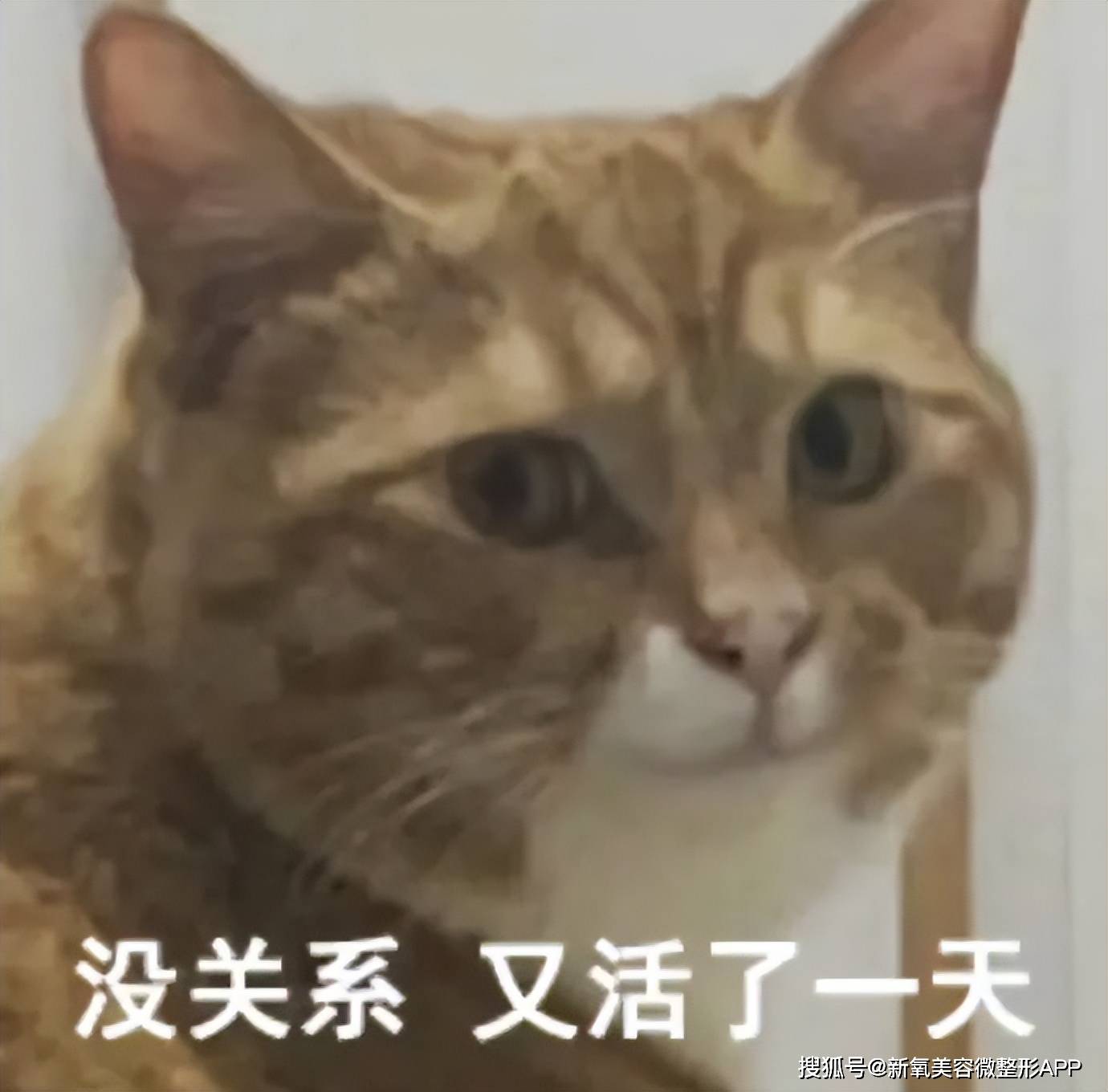 郭碧婷最新浪姐排练小视频，她好像突然又不像阔太了