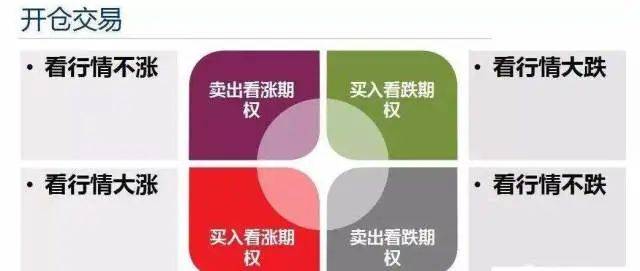 ETF期权的六大基本特征，期权小白必看！