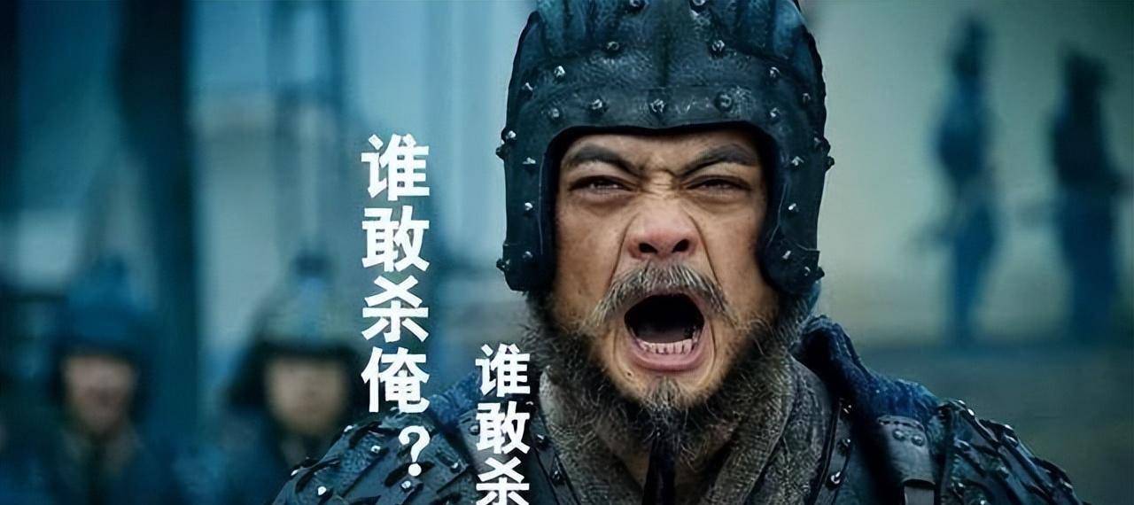 魏延谋反-蜀汉国最大的冤案，最大的损失