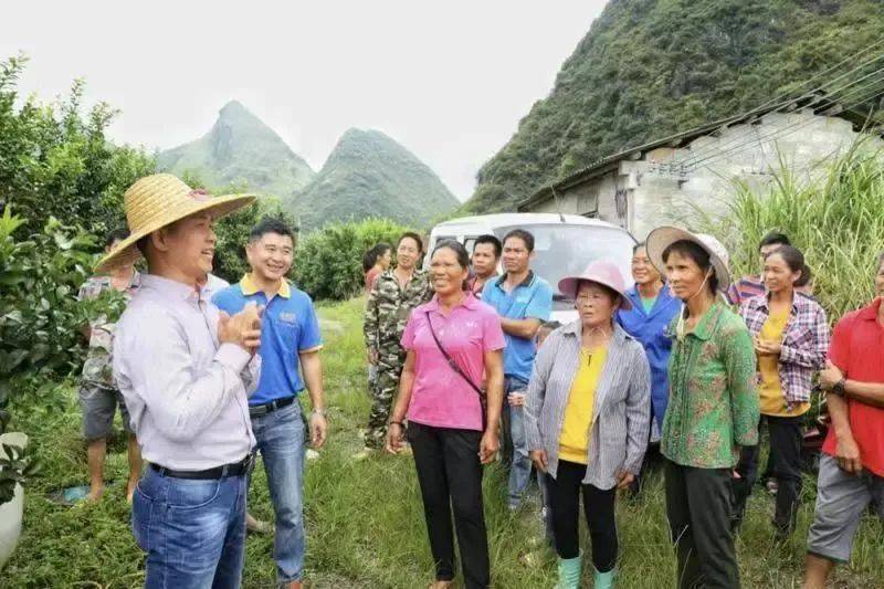 【深圳民企风采】向上向善的深圳力量 “鑫果兴农”助力乡村振兴