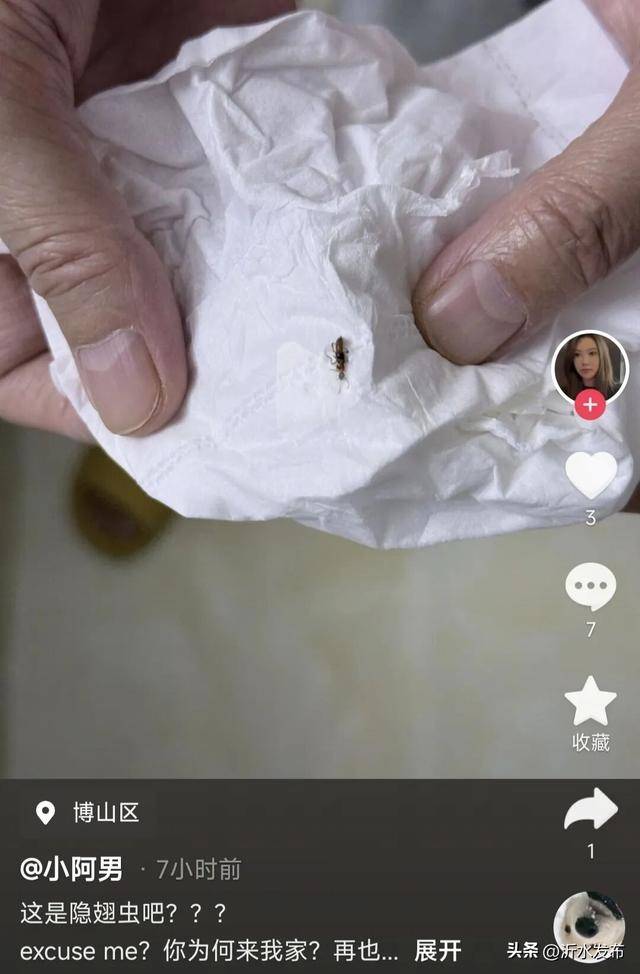 山东多地现这种虫子，千万别拍！