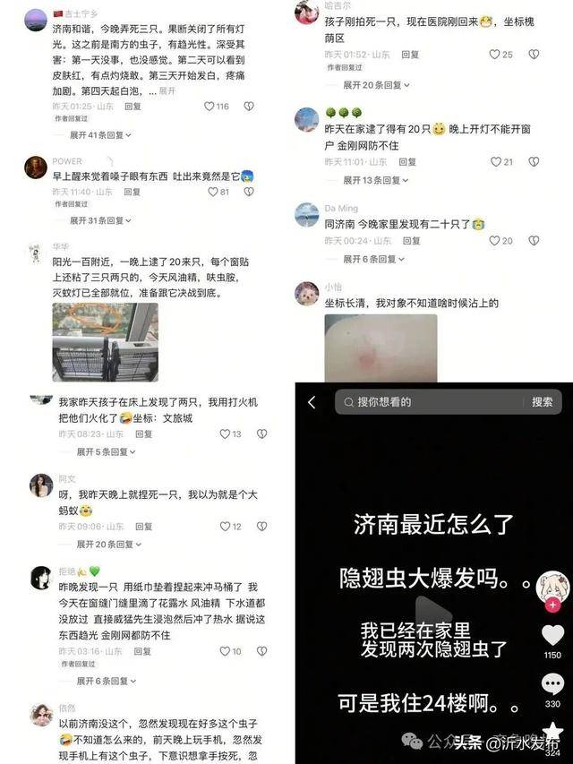 山东多地现这种虫子，千万别拍！