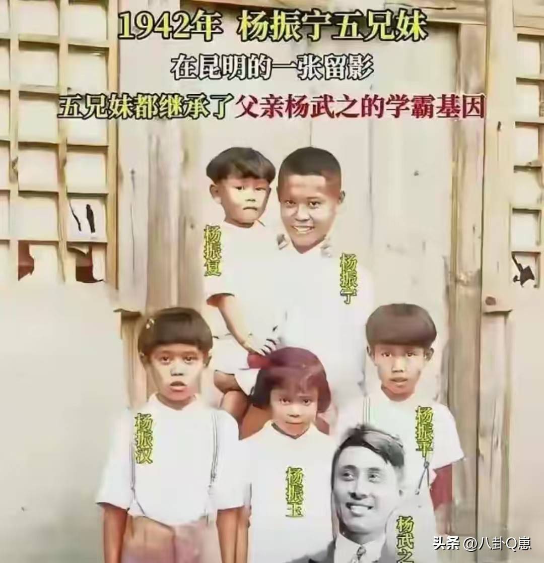 不查不知道，一查吓一跳！杨振宁的弟弟杨振汉，人生活的这么精彩