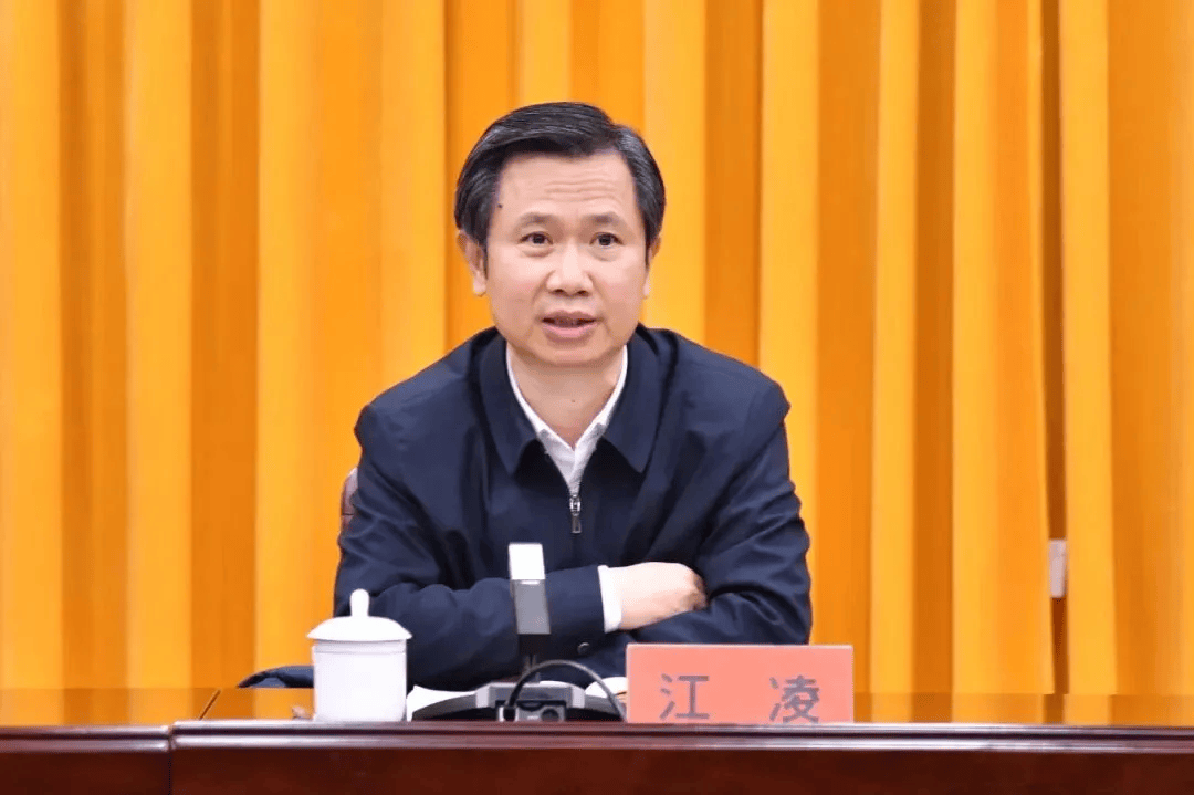 副部级江凌，有新职