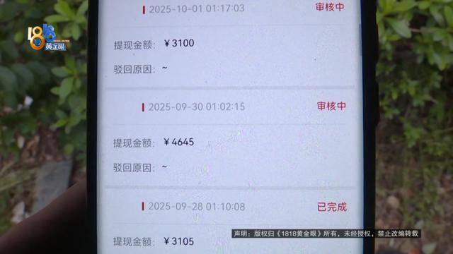买了66台苹果手机总价50多万!男子放在平台出租,如今租金拿不到,手机也要不回来